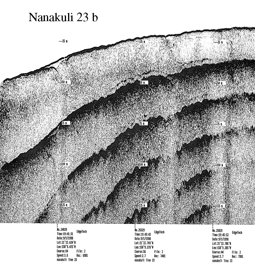 Subbottom profile showing seafloor and subsurface sediment detail and features