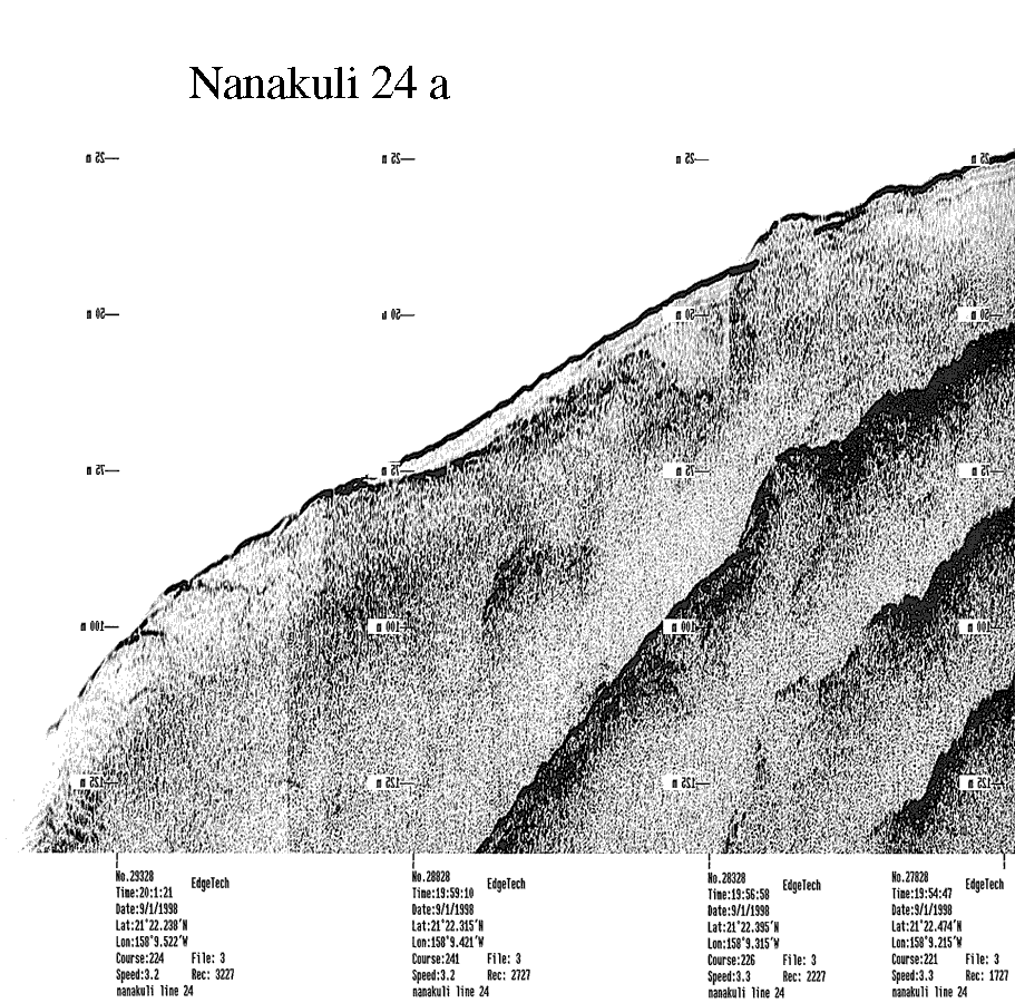 Subbottom profile showing seafloor and subsurface sediment detail and features