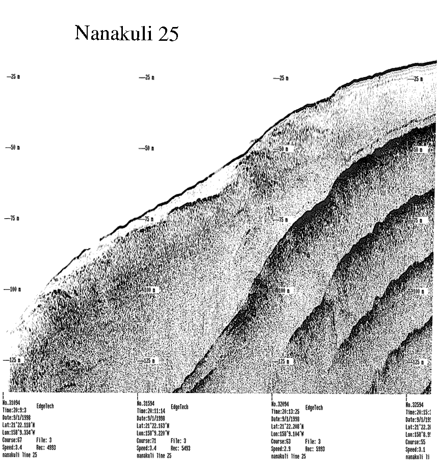 Subbottom profile showing seafloor and subsurface sediment detail and features