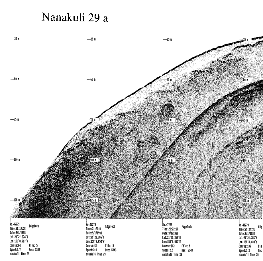 Subbottom profile showing seafloor and subsurface sediment detail and features