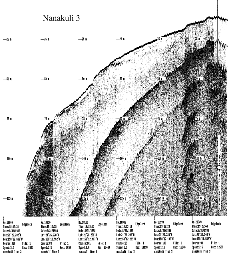 Subbottom profile showing seafloor and subsurface sediment detail and features