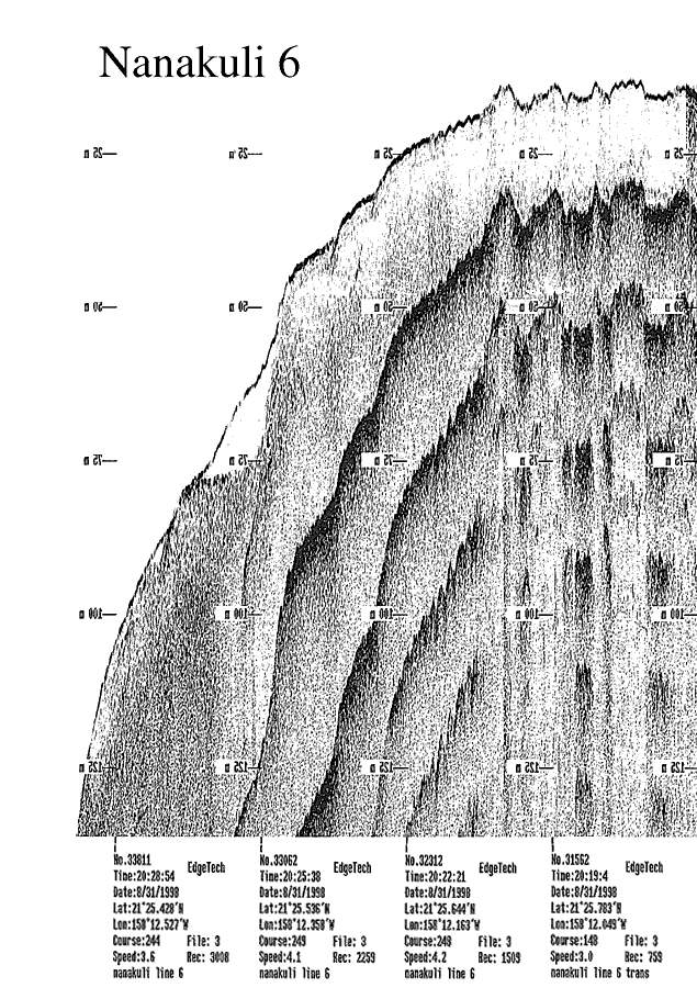 Subbottom profile showing seafloor and subsurface sediment detail and features