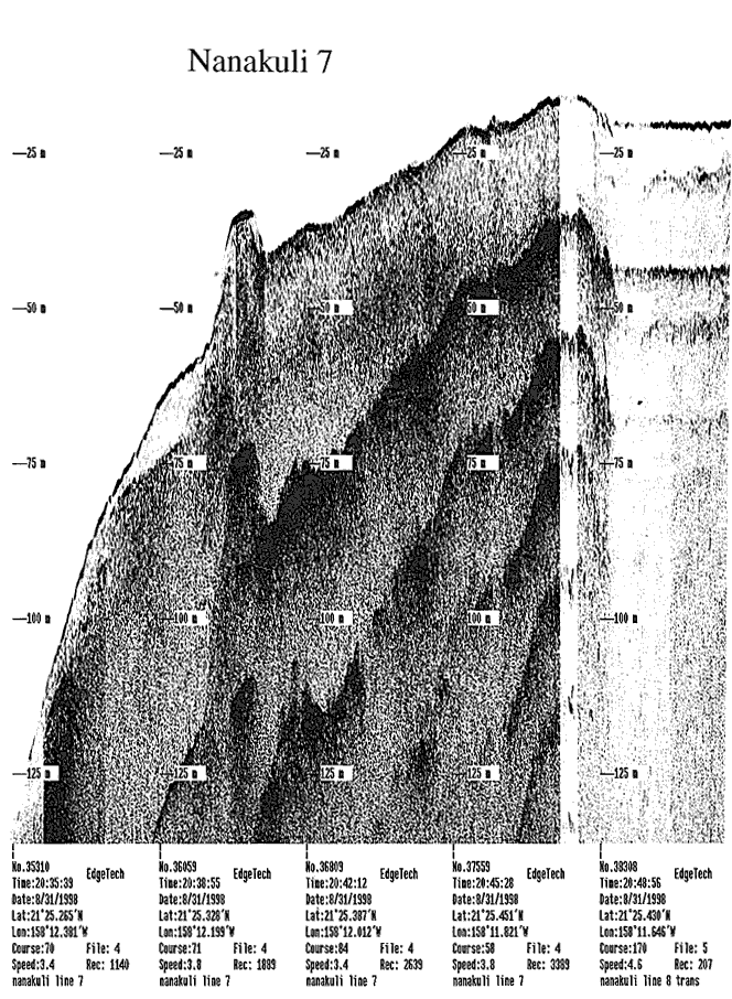 Subbottom profile showing seafloor and subsurface sediment detail and features