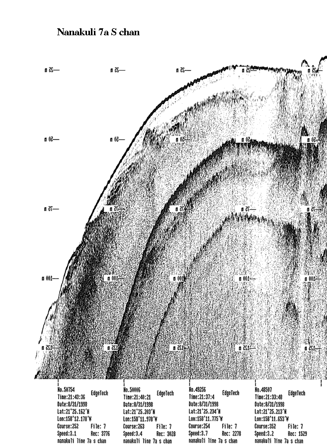 Subbottom profile showing seafloor and subsurface sediment detail and features