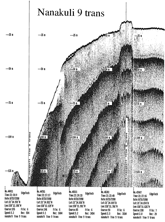 Subbottom profile showing seafloor and subsurface sediment detail and features