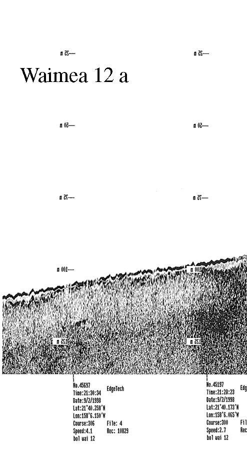 Subbottom profile showing seafloor and subsurface sediment detail and features