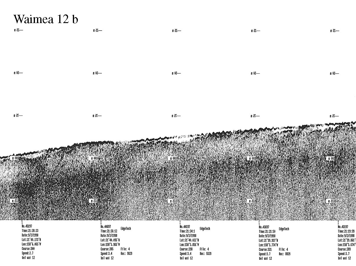 Subbottom profile showing seafloor and subsurface sediment detail and features