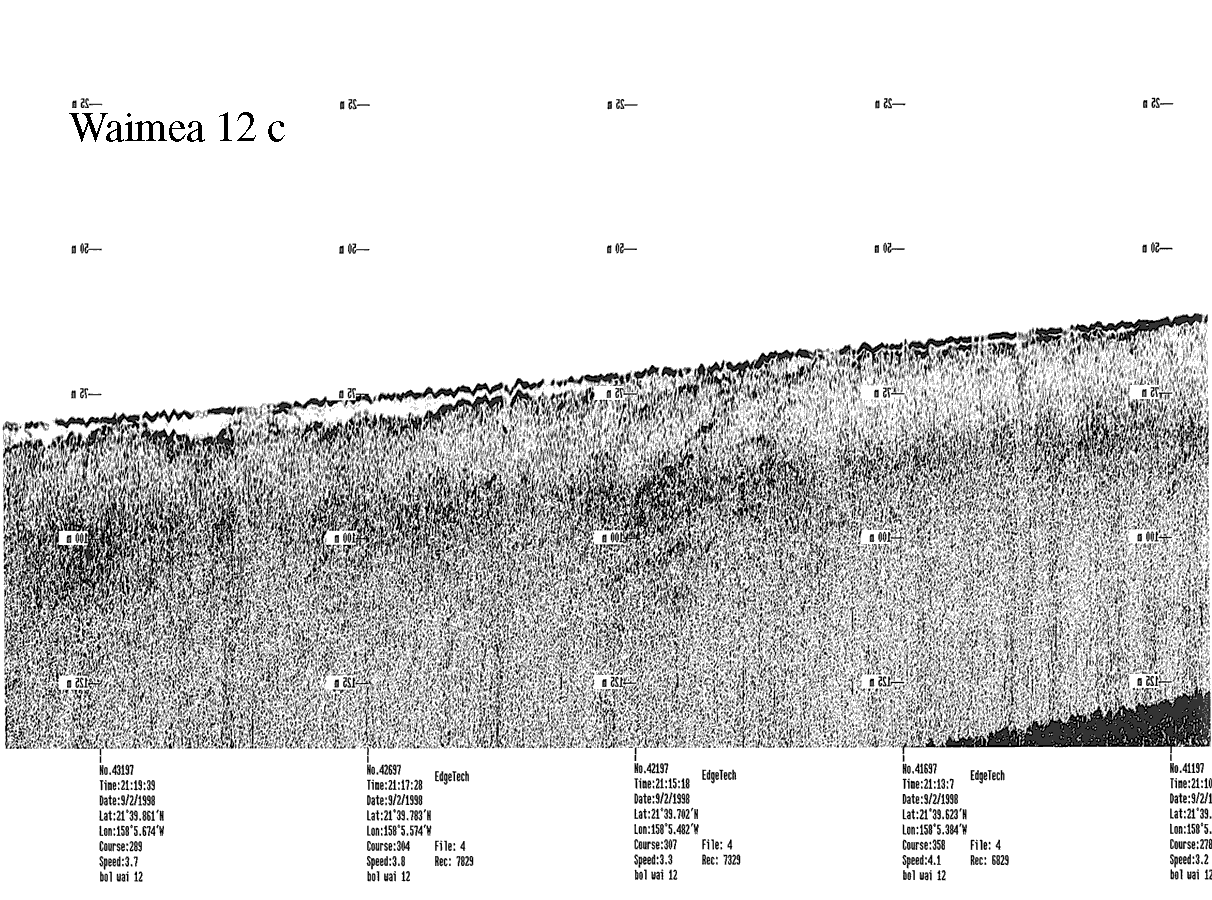 Subbottom profile showing seafloor and subsurface sediment detail and features