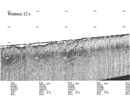 Subbottom profile showing seafloor and subsurface sediment detail and features