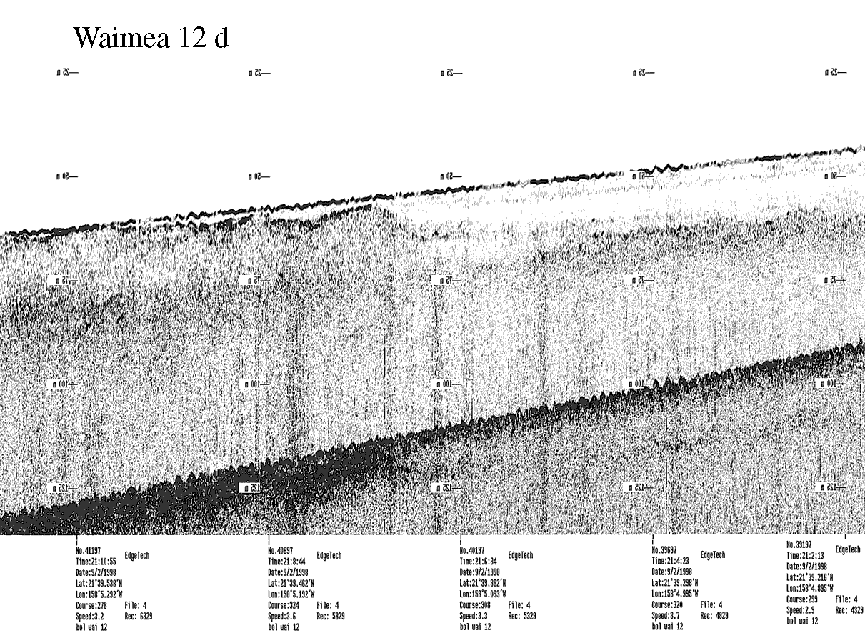 Subbottom profile showing seafloor and subsurface sediment detail and features