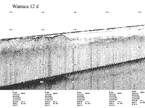 Subbottom profile showing seafloor and subsurface sediment detail and features