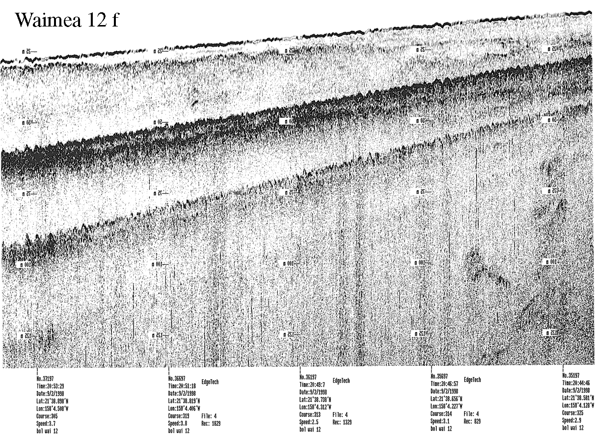 Subbottom profile showing seafloor and subsurface sediment detail and features