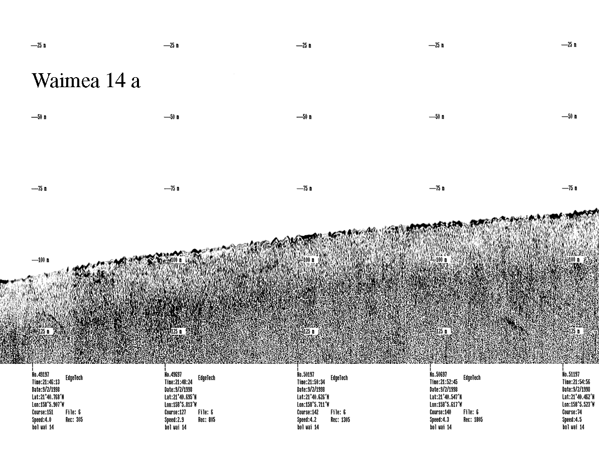 Subbottom profile showing seafloor and subsurface sediment detail and features