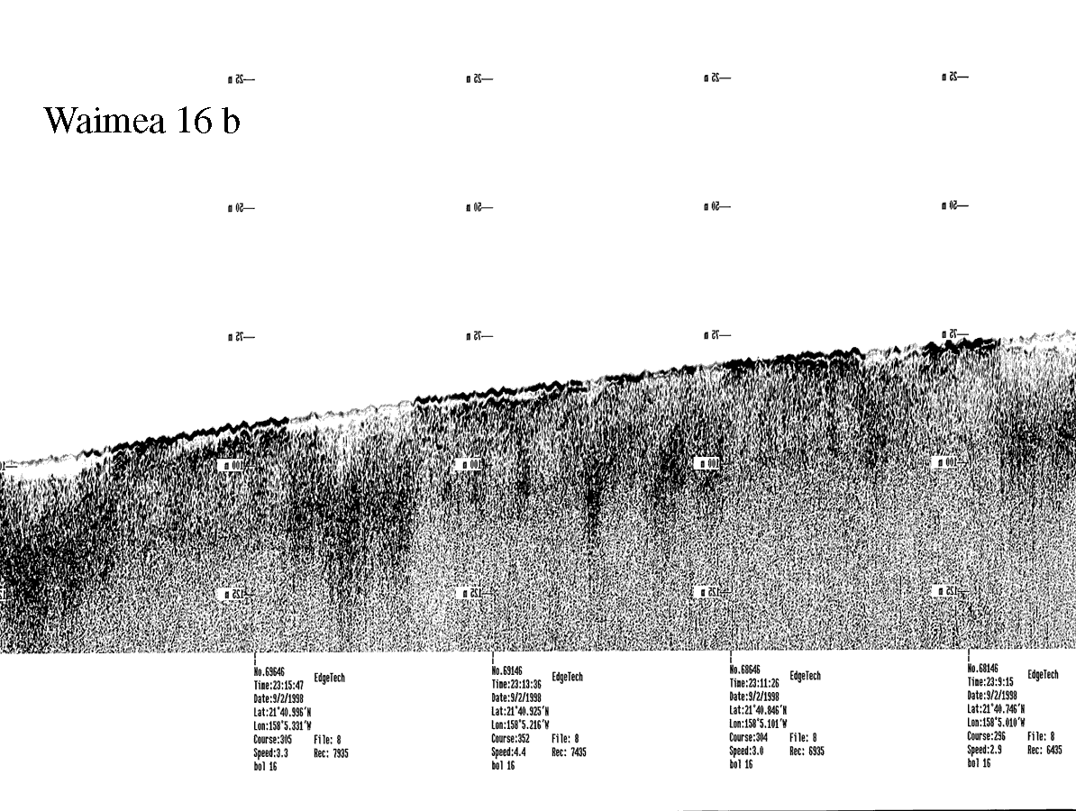 Subbottom profile showing seafloor and subsurface sediment detail and features