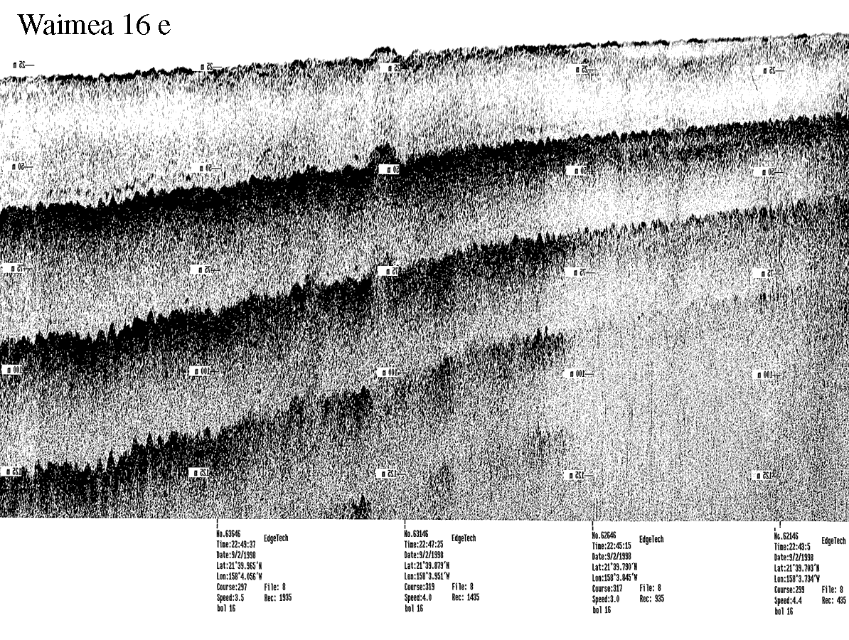 Subbottom profile showing seafloor and subsurface sediment detail and features