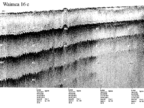 Subbottom profile showing seafloor and subsurface sediment detail and features