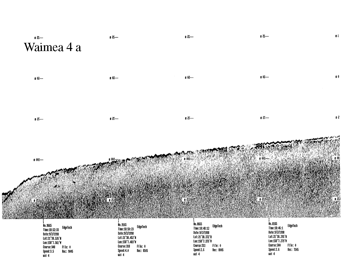 Subbottom profile showing seafloor and subsurface sediment detail and features