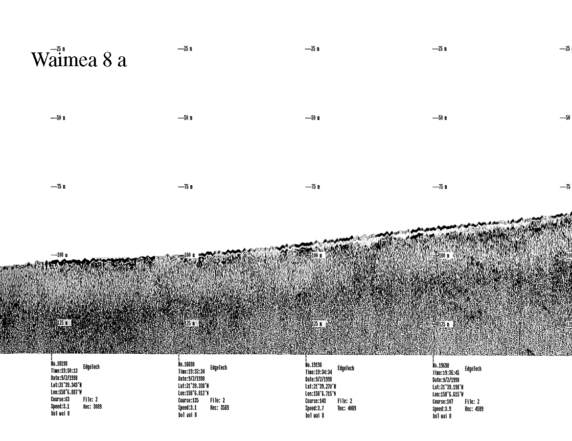 Subbottom profile showing seafloor and subsurface sediment detail and features