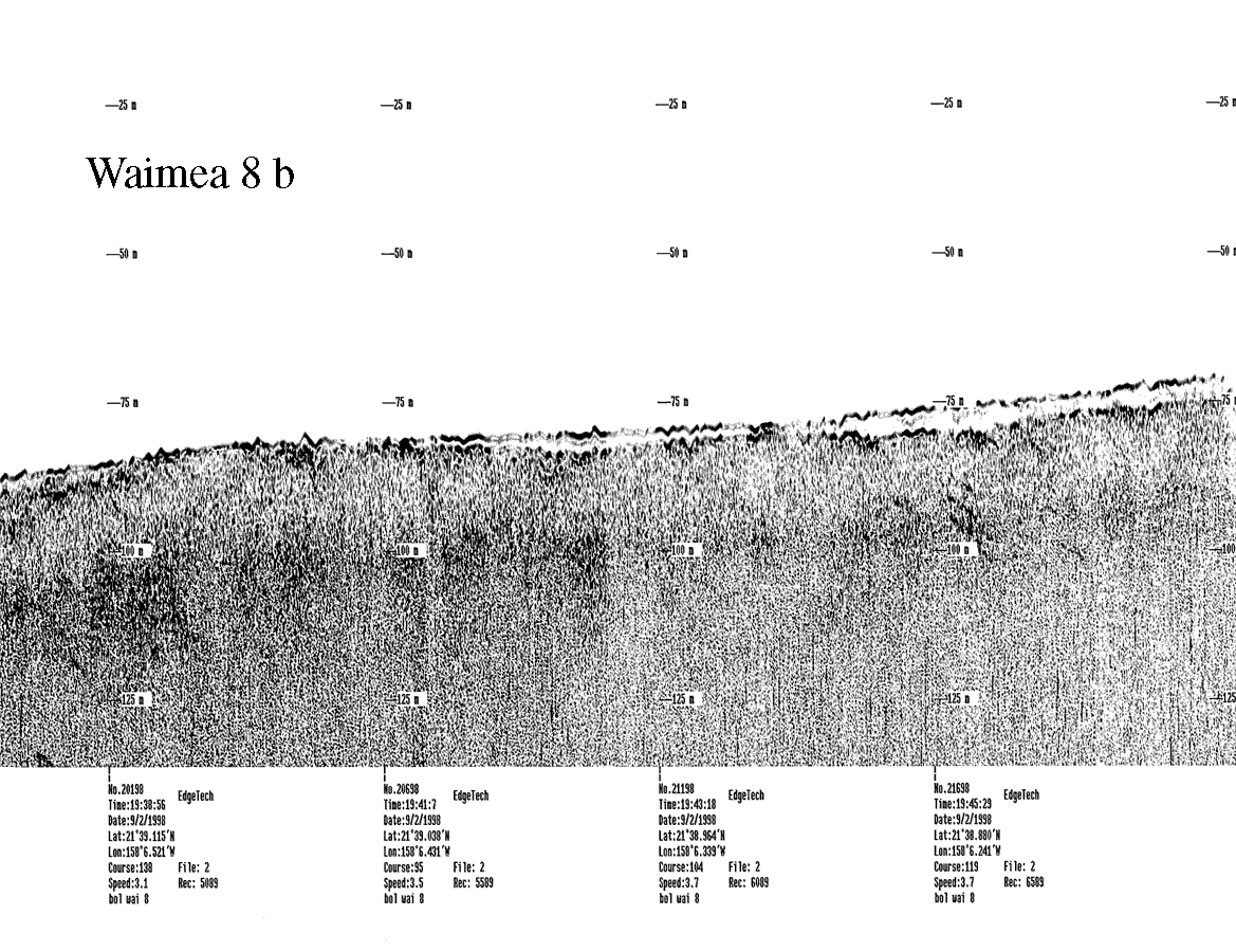 Subbottom profile showing seafloor and subsurface sediment detail and features