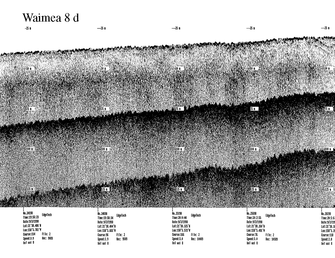 Subbottom profile showing seafloor and subsurface sediment detail and features