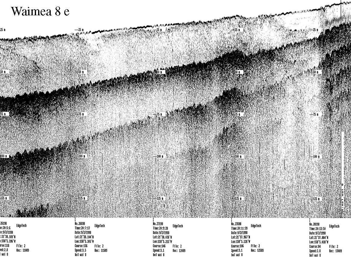 Subbottom profile showing seafloor and subsurface sediment detail and features