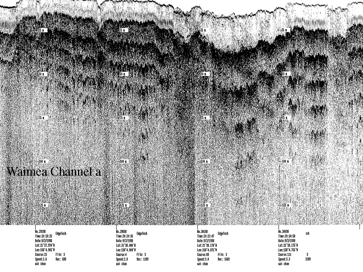 Subbottom profile showing seafloor and subsurface sediment detail and features