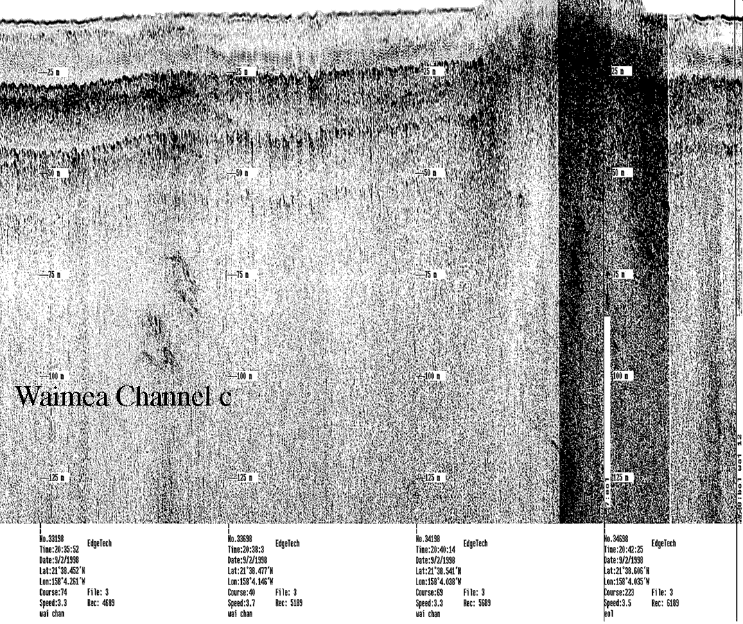 Subbottom profile showing seafloor and subsurface sediment detail and features