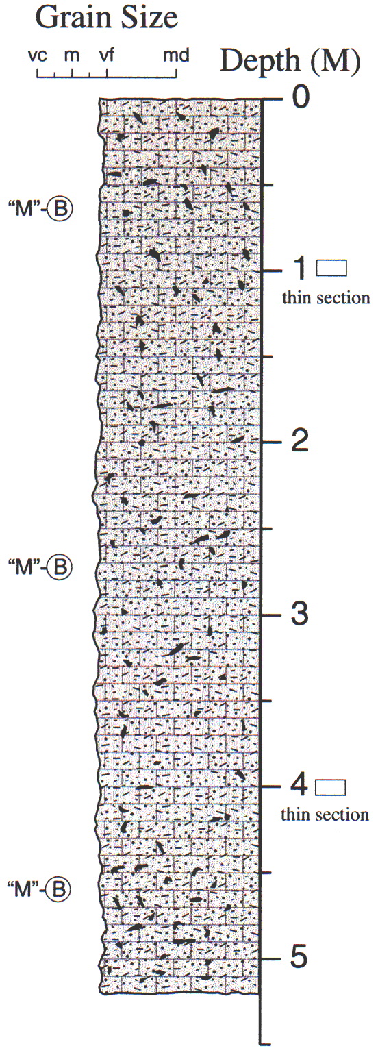 Labelled sketch of core showing bedding and other features