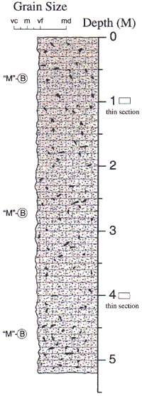 Labelled sketch of core showing bedding and other features