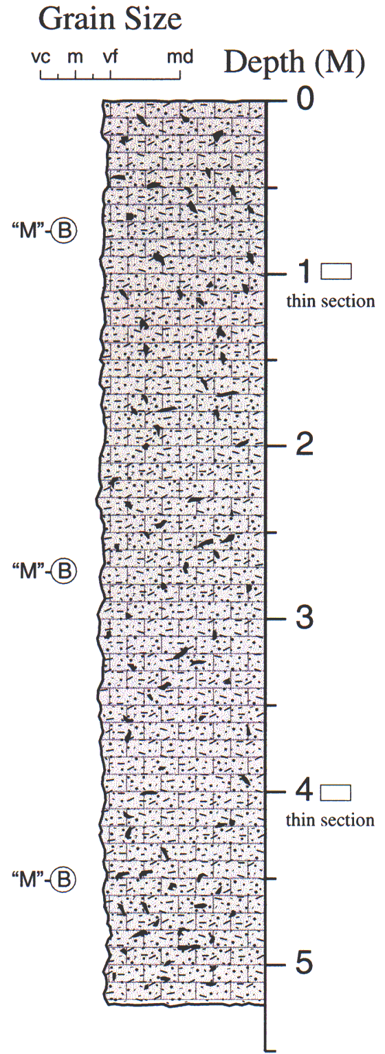 Labelled sketch of core showing bedding and other features