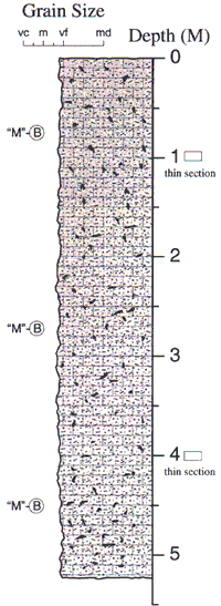 Labelled sketch of core showing bedding and other features