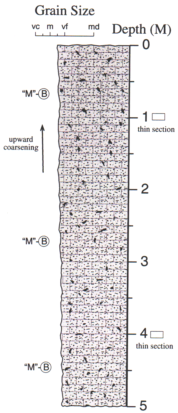 Labelled sketch of core showing bedding and other features