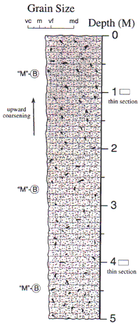 Labelled sketch of core showing bedding and other features