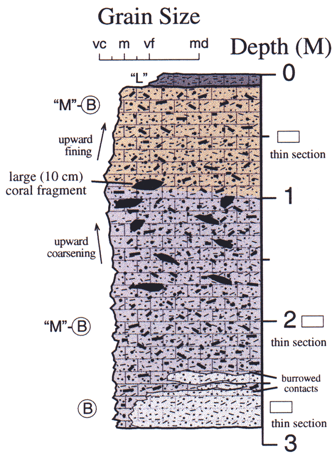 Labelled sketch of core showing bedding and other features