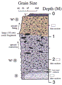 Labelled sketch of core showing bedding and other features