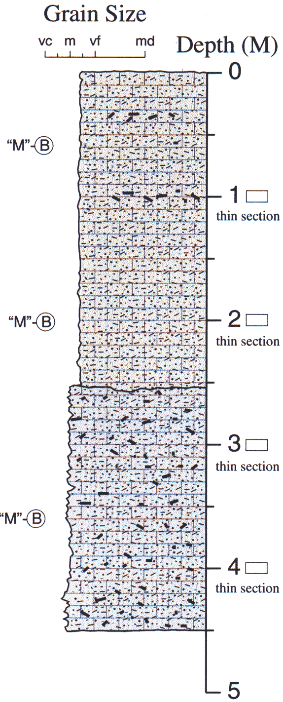 Labelled sketch of core showing bedding and other features