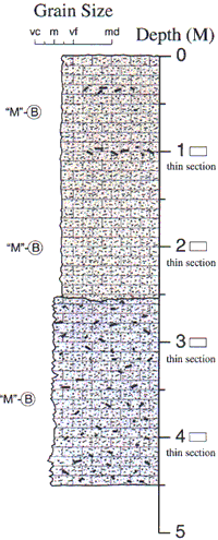 Labelled sketch of core showing bedding and other features