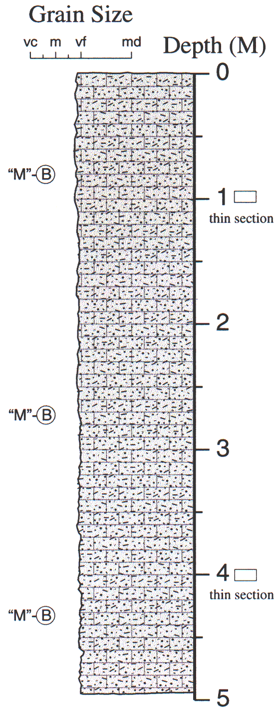 Labelled sketch of core showing bedding and other features