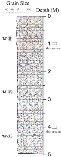 Labelled sketch of core showing bedding and other features