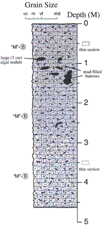 Labelled sketch of core showing bedding and other features