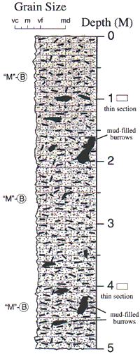 Labelled sketch of core showing bedding and other features