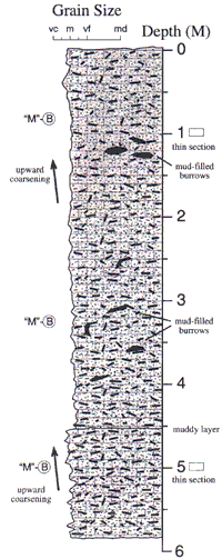 Labelled sketch of core showing bedding and other features