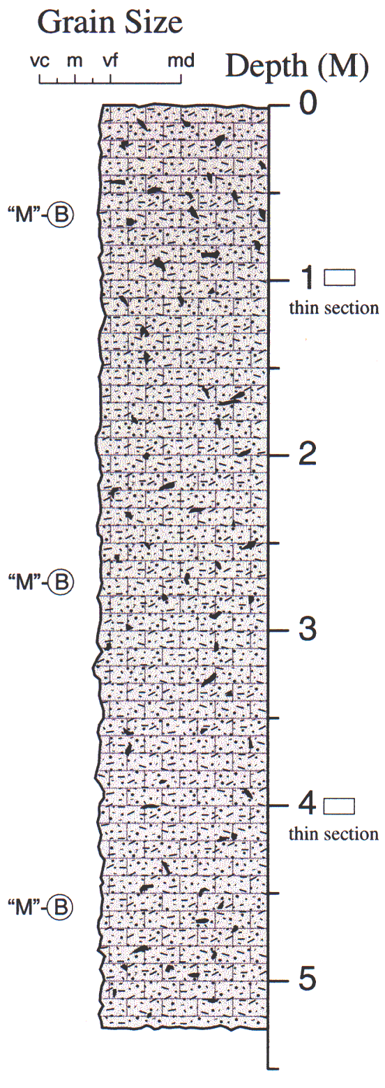 Labelled sketch of core showing bedding and other features