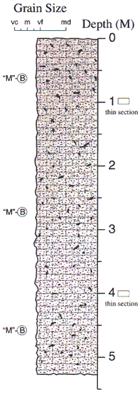 Labelled sketch of core showing bedding and other features