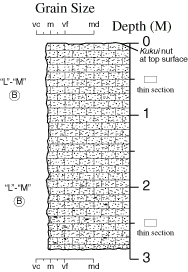 Labelled sketch of core showing bedding and other features