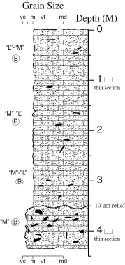 Labelled sketch of core showing bedding and other features