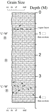 Labelled sketch of core showing bedding and other features