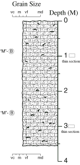 Labelled sketch of core showing bedding and other features