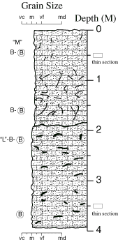 Labelled sketch of core showing bedding and other features