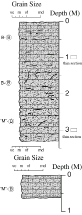 Labelled sketch of core showing bedding and other features